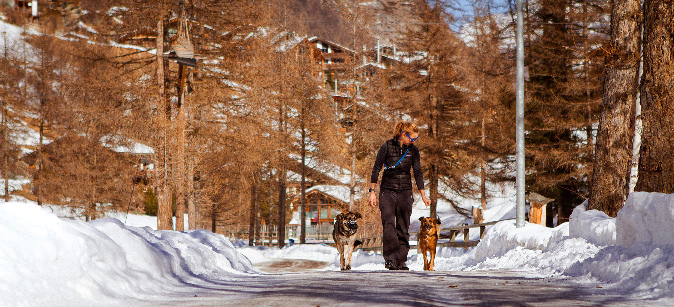 hunde-schule-betreuung-oberwallis-10