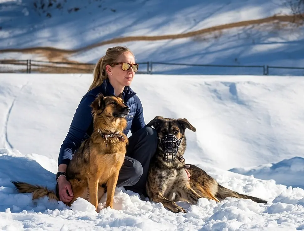 hundetraining un leashed